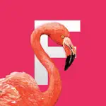 Flamingo Tropical Stickers App Cancel