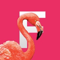 Flamingo Tropical Stickers logo