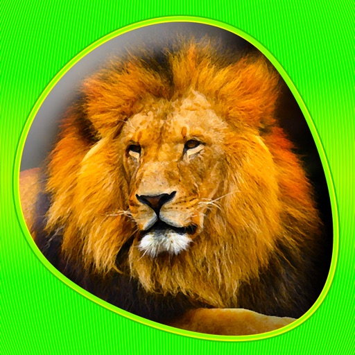 Animals 360 icon