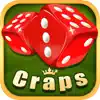 Craps Simulator App Feedback