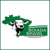 Boiada Brasil