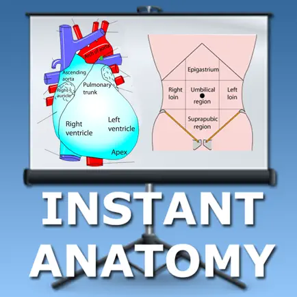Anatomy Thorax and Abdomen Читы