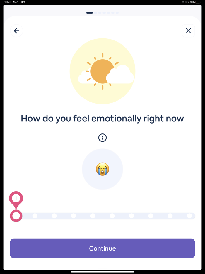 Wellness Coach Turtle Method