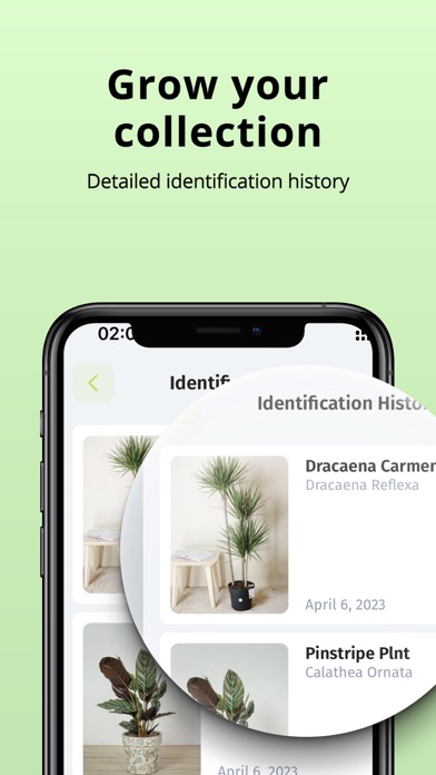 Plantion - Plant Identifier Screenshot