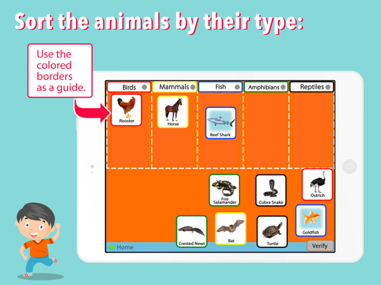 Animal Kingdom (Vertebrates) iPad screenshot