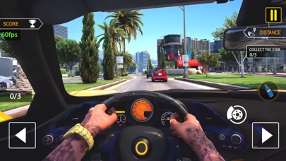 Traffic Car Driving Sim 3D Screenshot