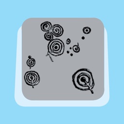 Cup and Ring Marks (History)