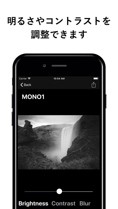 Mono Cam - B&W photo App screenshot 3