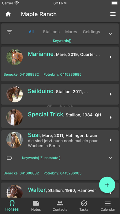 Horse Diary Screenshot