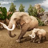 Scary Elephant Animal Wildlife - iPhoneアプリ