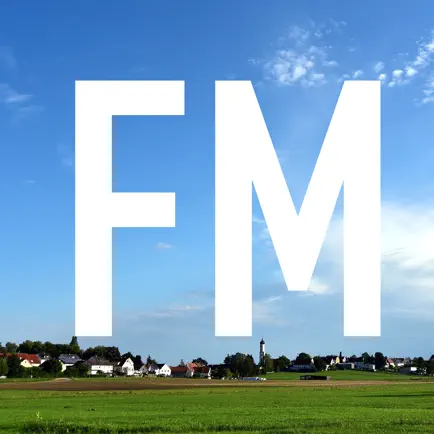 FM SD Читы