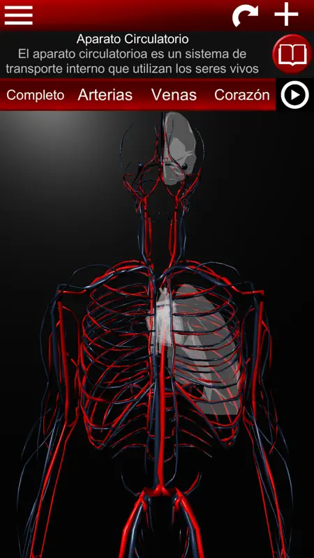Sistema Circulatorio en 3D screenshot 2 of 6