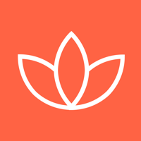 We Meditate