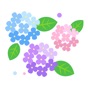 Sticker Hydrangea app download