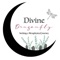 Welcome to the Divine Dragonfly App