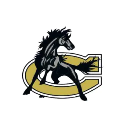 Clinton City Schools, NC Читы