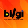 Bilgi B2B problems & troubleshooting and solutions