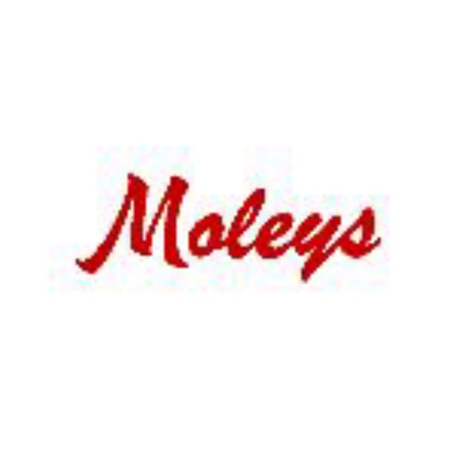 Coventry Moleys icon
