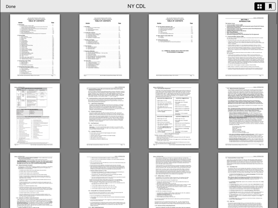 New York CDL Test Prep iPad screenshot 10 - Education app