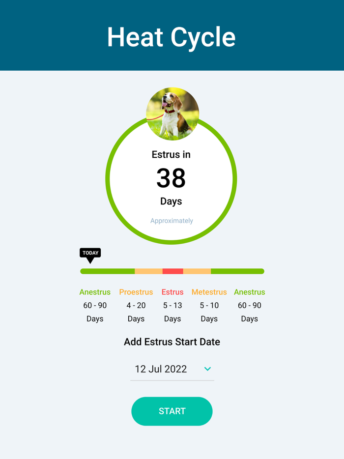 Dog in Heat - Estrus Cycle App