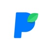 Payberry icon