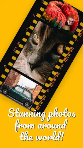 Game screenshot Tile Twist: Photo Puzzle hack