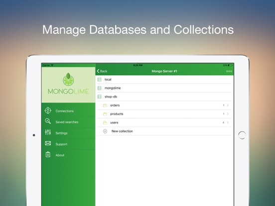 Screenshot #2 for MongoLime - manage databases