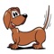 MyWagger is an online pet supply store giving you great deals for your furry friends