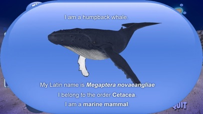 Humpback Whale Screenshot