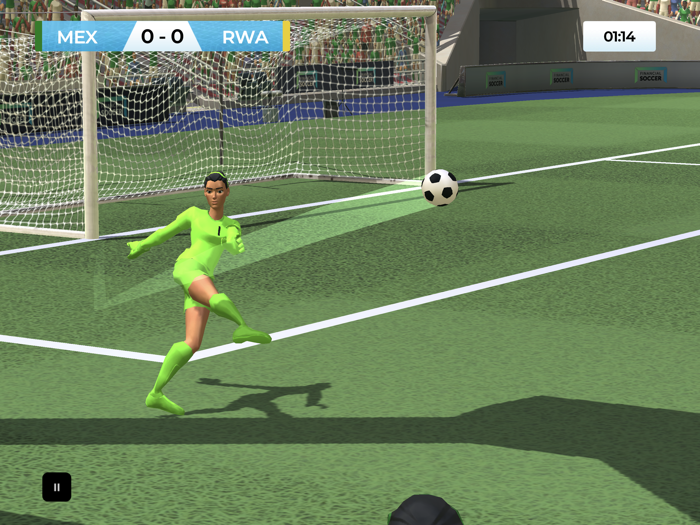 World Financial Football