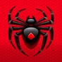 Spider Solitaire - Classic Fun app download