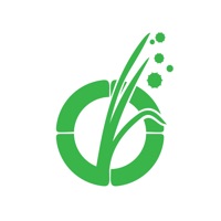 Pollen Wise logo