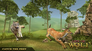 Life Of Wolf - Wild Life Simのおすすめ画像2