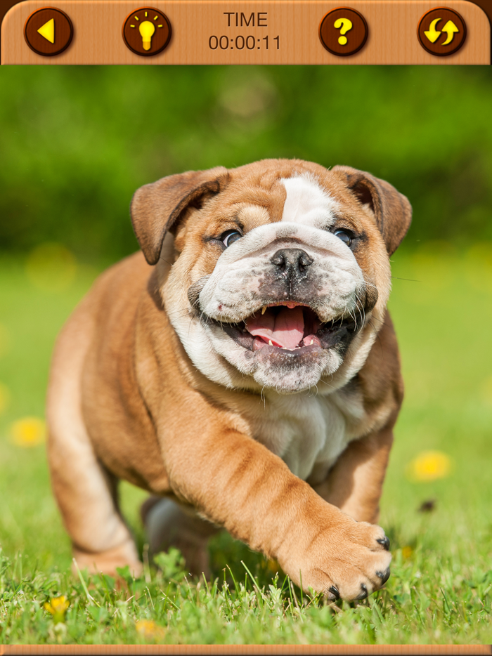 Cute Puppy Jigsaw Puzzle Games