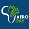 AfroPay hopes to partner with banks and financial service providers such as mobile money to broaden the flexibility of customers getting money from and receiving money to their preferred source