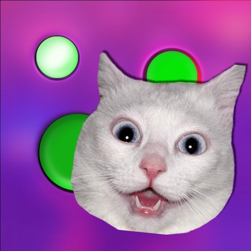 Fidget Buttons & Cats Meows iOS App