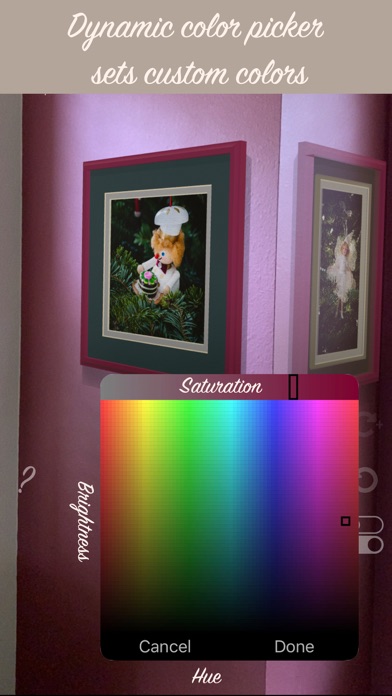 Wall Gallery Designer Screenshot
