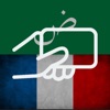 Practice Arabic & French Words icon