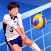 Volleyball Duel icon