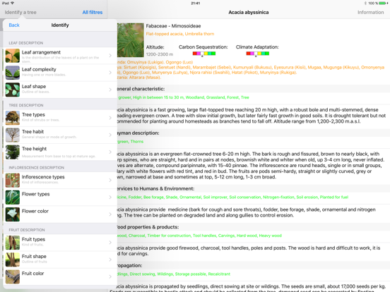 Screenshot #5 pour Useful Trees of East Africa