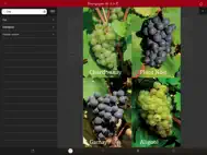 ClimaVinea ipad bilder 3