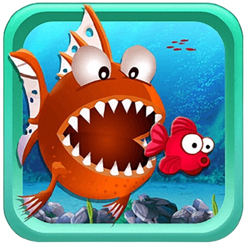 Fish Feeding 2022 icon