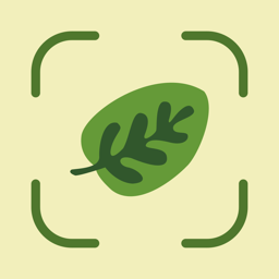 Ícone do app Leaf Identification