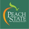 Peach Treasury Management icon