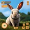 Icon Cute Rabbit Bunny Pet Game Sim