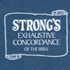 Strongs Bible Concordance - iPadアプリ