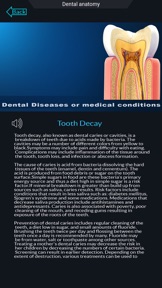 My Dental Anatomy screenshot