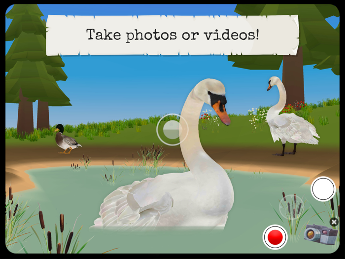 Farm Animals and Pets Full