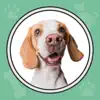 Dog Whistle & Puppy Training App Delete