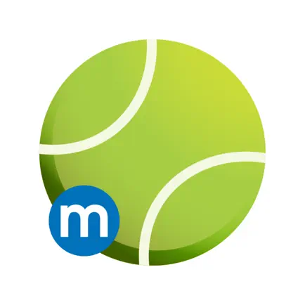 Microframe Tennis Читы